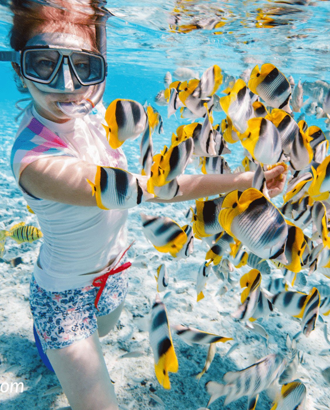 Snorkeling